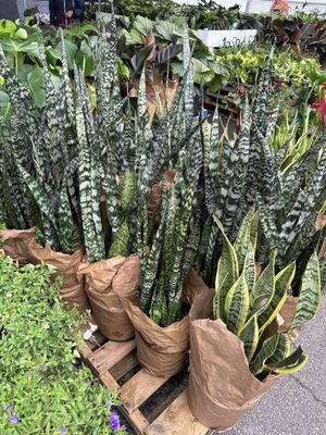 Alabama Farmers Market by null