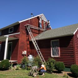 Markez Professional Painting - Staining job.