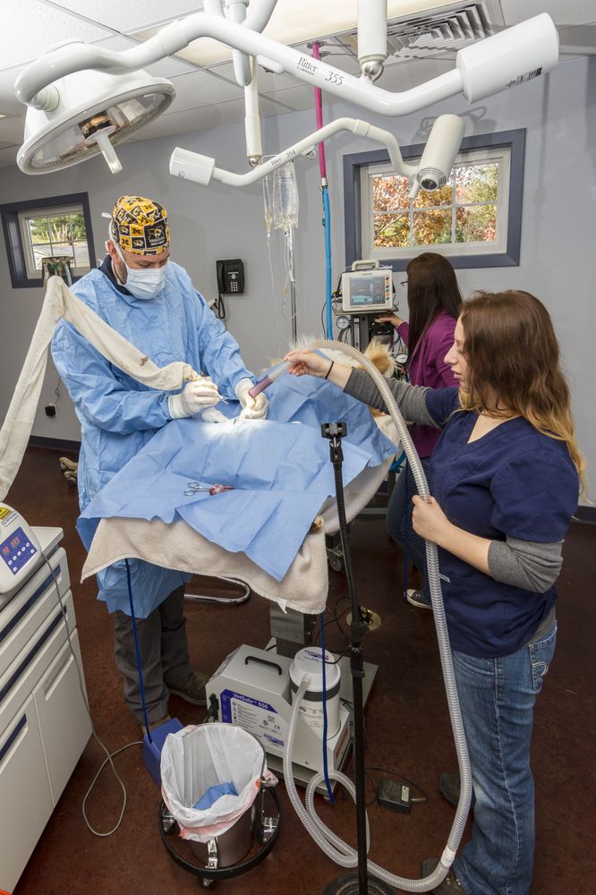 HOMESTEAD VETERINARY HOSPITAL Updated September 2024 105 Whispering