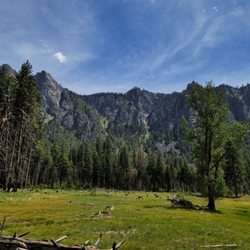 Yosemite Valley Floor Tour