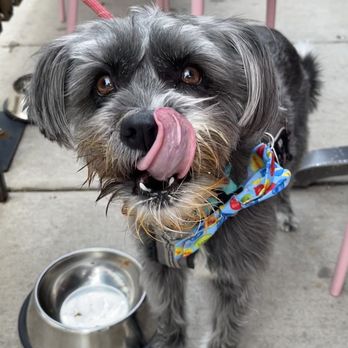 EaTo - Our birthday boy after his meatballs - Pizza Near Me - Minneapolis, Minnesota EaTo - Our birthday boy after his meatballs - Pizza Near Me - Minneapolis, Minnesota