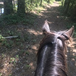 A Wild Horse Ranch - Horse Trails
