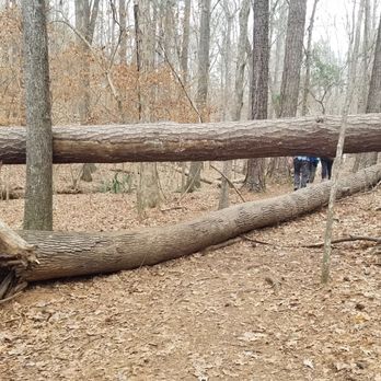 Savannah River Bluffs Heritage Preserve - Hiking Near Me - North Augusta, South Carolina Savannah River Bluffs Heritage Preserve - Hiking Near Me - North Augusta, South Carolina
