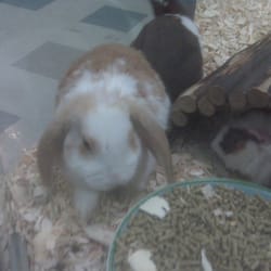 What's up doc?