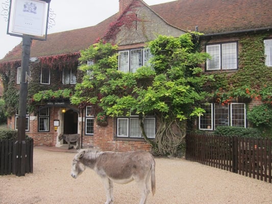 The Montagu Arms Hotel by null