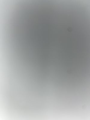 Jackson's Music Store