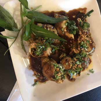 Phi Coffee & Tea - Coffee & Tea Near Me - Arlington, Texas Phi Coffee & Tea - Coffee & Tea Near Me - Arlington, Texas