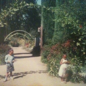 Campovida - August 2005! Your whole family will love this magical garden. Bring a sack lunch and enjoy. - Wineries Near Me - Hopland, California Campovida - August 2005! Your whole family will love this magical garden. Bring a sack lunch and enjoy. - Wineries Near Me - Hopland, California
