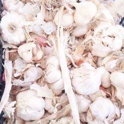 Mercato Ortofrutta