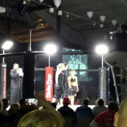 Fight night