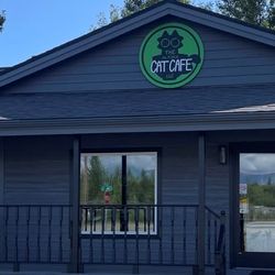 The Alaska Cat cafe