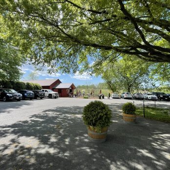Barboursville Vineyards - Wineries Near Me - Barboursville, Virginia Barboursville Vineyards - Wineries Near Me - Barboursville, Virginia