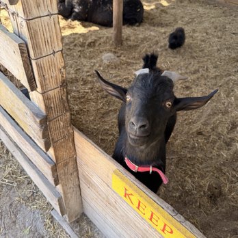 Marando Farms & Ranch - Farmers Market Near Me - Davie, Florida