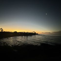Kuhio Shores Condos