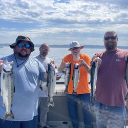 No Worries Fishing Charters