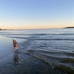 Bonnet Shores Beach