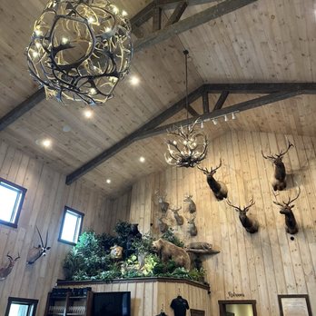 Safari Winery - Wine Tasting Room Near Me - Fredericksburg, Texas Safari Winery - Wine Tasting Room Near Me - Fredericksburg, Texas