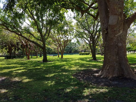 Pine Tree Park 4411 Pine Tree Dr Miami Beach Fl Parks Mapquest