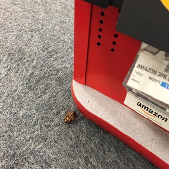 CVS Pharmacy - Dead CVS roaches in this dirty store - Drugstores Near Me - Round Rock, Texas