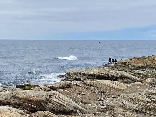 Beavertail State Park by null