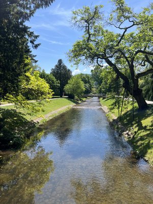 Lichtentaler Allee by null