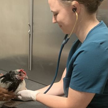 Care Animal Hospital - Awe... so sweet of Dr. Miriam Flock to take out her stethoscope for little Lily. - Veterinarians Near Me - Temecula, California Care Animal Hospital - Awe... so sweet of Dr. Miriam Flock to take out her stethoscope for little Lily. - Veterinarians Near Me - Temecula, California