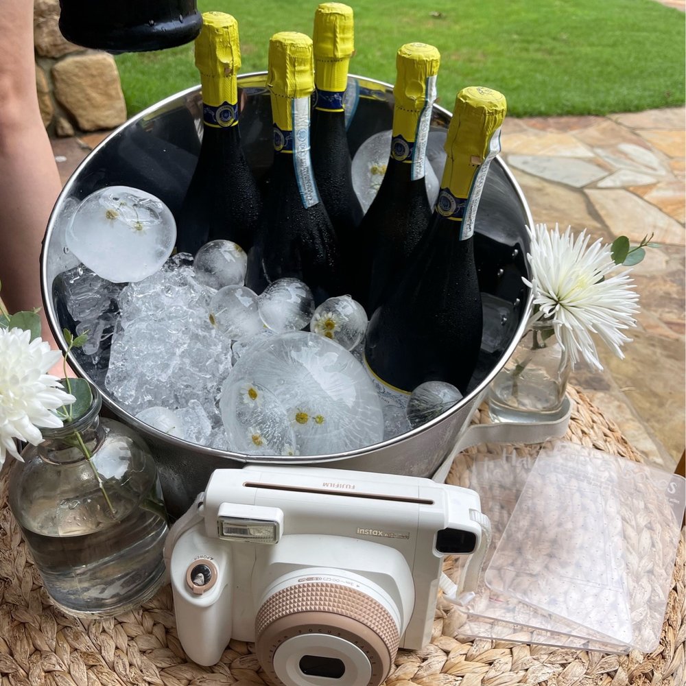 The Gathering Picnic - I asked Brandi to provide an ice bucket. she said "I wanted to make everything as pretty as possible" - Party & Event Planning Near Me The Gathering Picnic - I asked Brandi to provide an ice bucket. she said "I wanted to make everything as pretty as possible" - Party & Event Planning Near Me