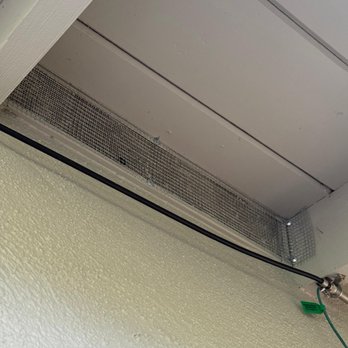 Amores Rodent Services - Pest Control Near Me