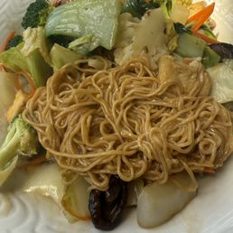 Soft Chow Mein, mixed it up to show the noodles.