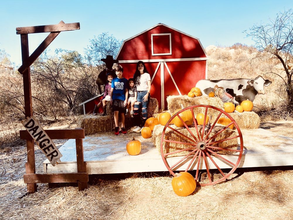 THE WICKERD FARM Updated October 2024 103 Photos & 50 Reviews