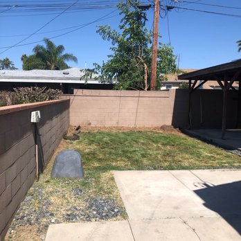 Acosta Tree Service - Removed 4 trees and stumps. - Tree Services Near Me Acosta Tree Service - Removed 4 trees and stumps. - Tree Services Near Me