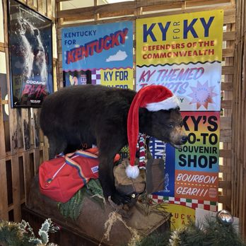 Kentucky for Kentucky - Cocaine bear - Gift Shops Near Me - Lexington, Kentucky Kentucky for Kentucky - Cocaine bear - Gift Shops Near Me - Lexington, Kentucky