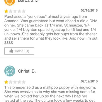 Malti Poo Pup - Pet Breeders Near Me Malti Poo Pup - Pet Breeders Near Me