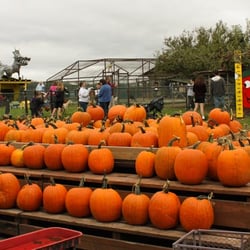 Wellwood Orchards