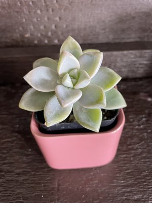 The Living Room by null