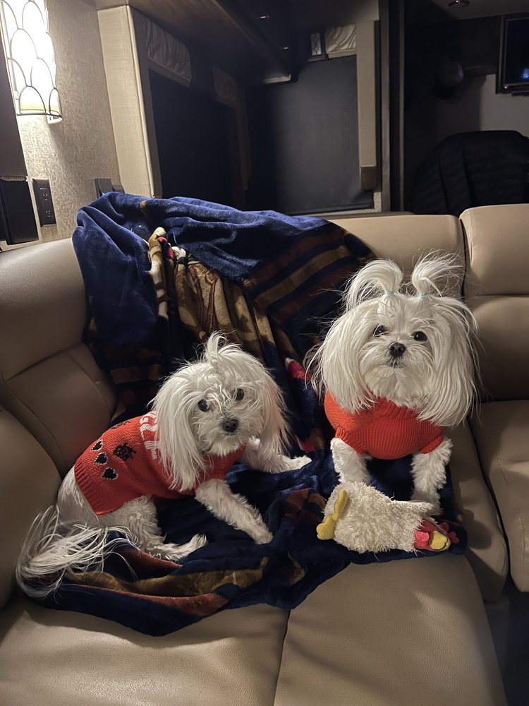 BARK N’ BUBBLES Updated September 2024 11 Reviews 13180 E