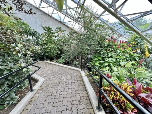 Foellinger-Freimann Botanical Conservatory by null
