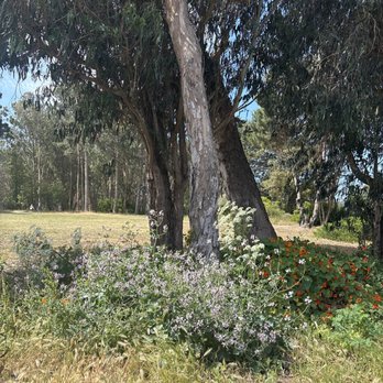 Rolph Nicol Park - Parks Near Me - San Francisco, California Rolph Nicol Park - Parks Near Me - San Francisco, California