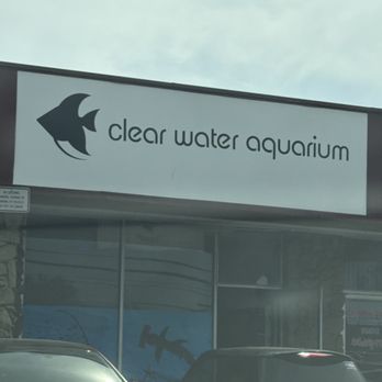 Clear Water Aquarium - Entrance - Local Fish Stores Near Me - San Jose, California Clear Water Aquarium - Entrance - Local Fish Stores Near Me - San Jose, California