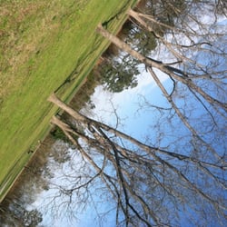 Northeast Park - Spring is here