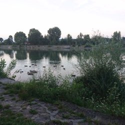 Flamingo - Aussicht auf den Kuchelauer Hafenarm