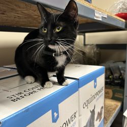 Clover Bar Feeds