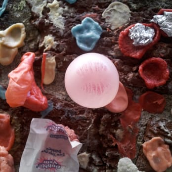 The Gum Wall - SWAK gum. - Local Flavor Near Me - Seattle, Washington The Gum Wall - SWAK gum. - Local Flavor Near Me - Seattle, Washington