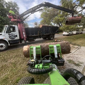Longwater Tree Service - Savannah Tree Removal & Debris Hauling - Tree Services Near Me Longwater Tree Service - Savannah Tree Removal & Debris Hauling - Tree Services Near Me