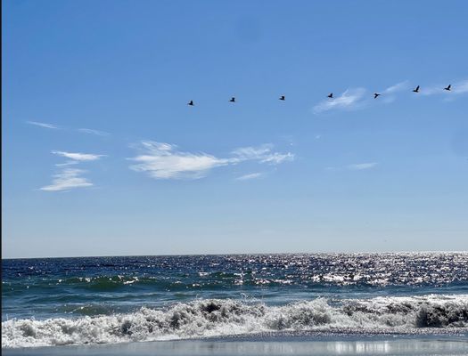 Stinson Beach by null