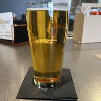 Head Right Brewery - Golden Ale - Breweries Near Me - Surprise, Arizona Head Right Brewery - Golden Ale - Breweries Near Me - Surprise, Arizona