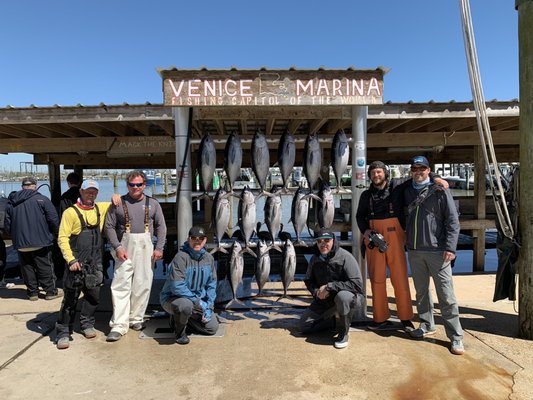Venice Marina by null