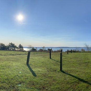 Elk Neck State Park - View from a bench toward the bay - Parks Near Me - North East, Maryland Elk Neck State Park - View from a bench toward the bay - Parks Near Me - North East, Maryland
