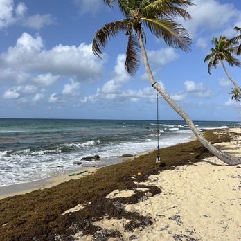 Esperanza Riding Company - the first beach we visited on the tour - Horseback Riding Near Me - Vieques, Puerto Rico