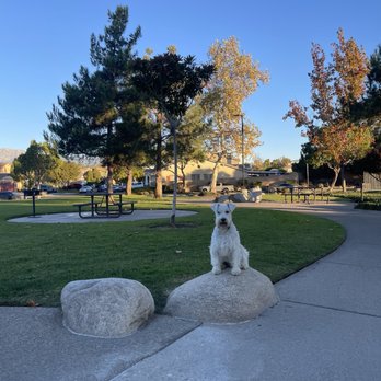 Sycamore Hills Park - My pup! - Parks Near Me - Fontana, California Sycamore Hills Park - My pup! - Parks Near Me - Fontana, California